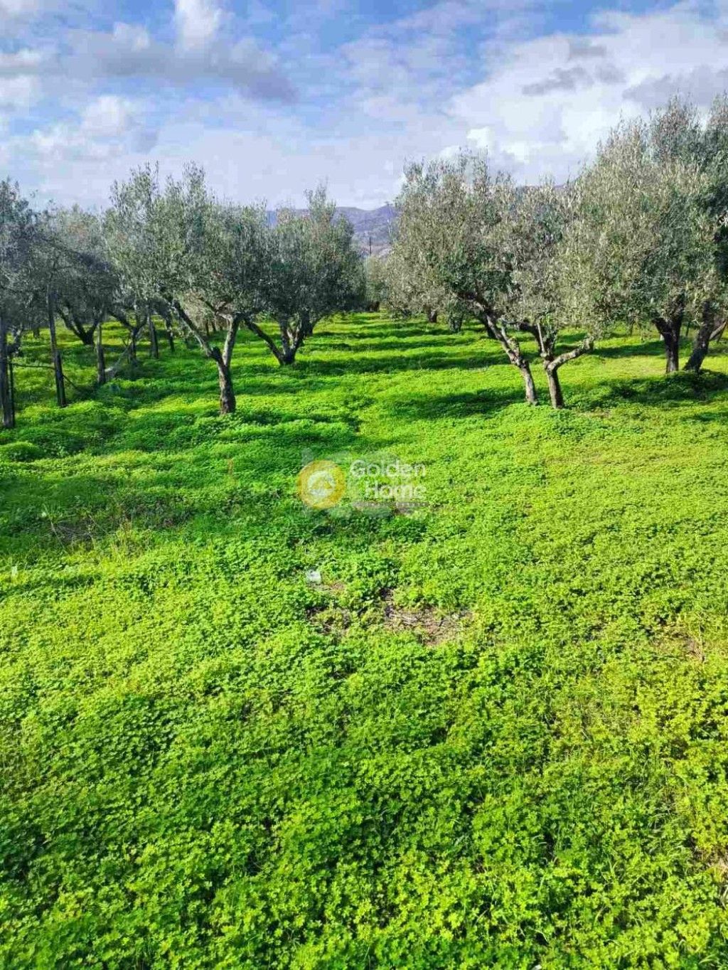 εικόνα αγγελίας