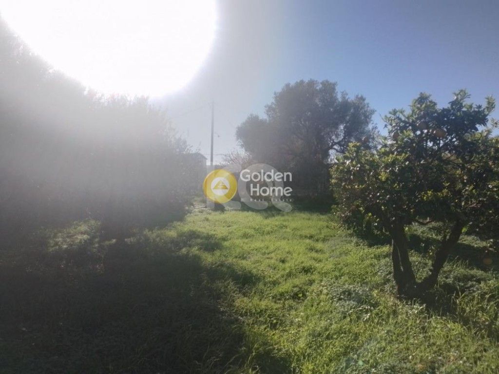 εικόνα αγγελίας