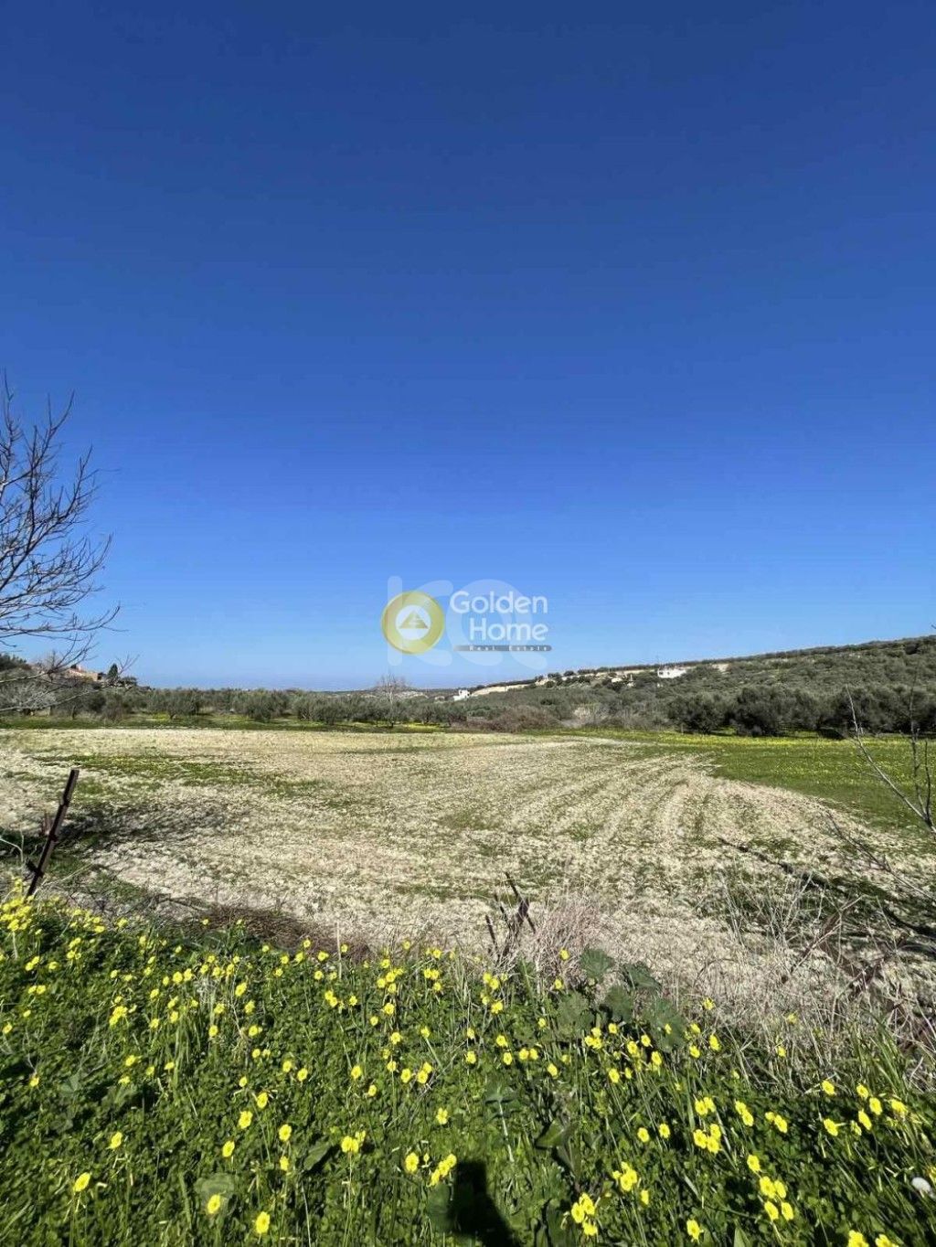 εικόνα αγγελίας