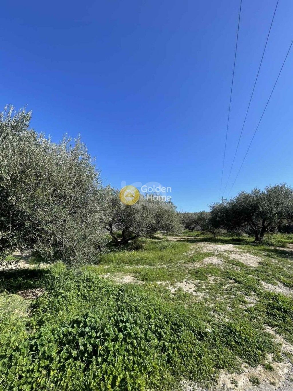 εικόνα αγγελίας