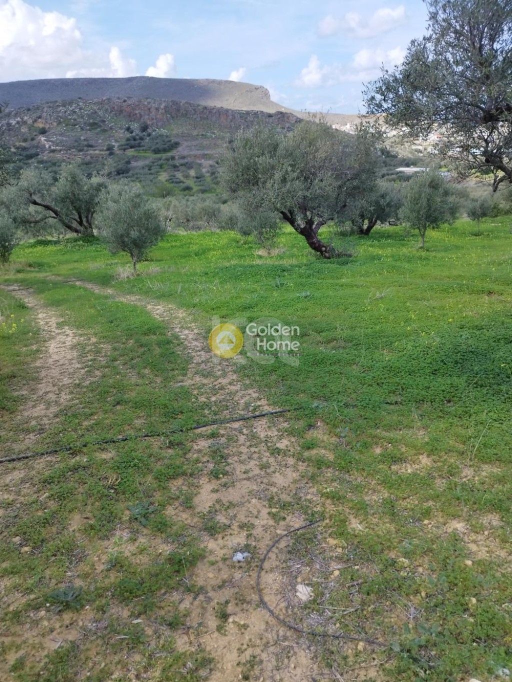 εικόνα αγγελίας