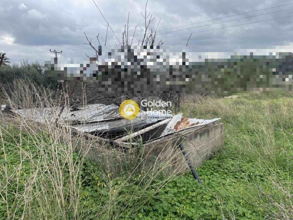 εικόνα αγγελίας