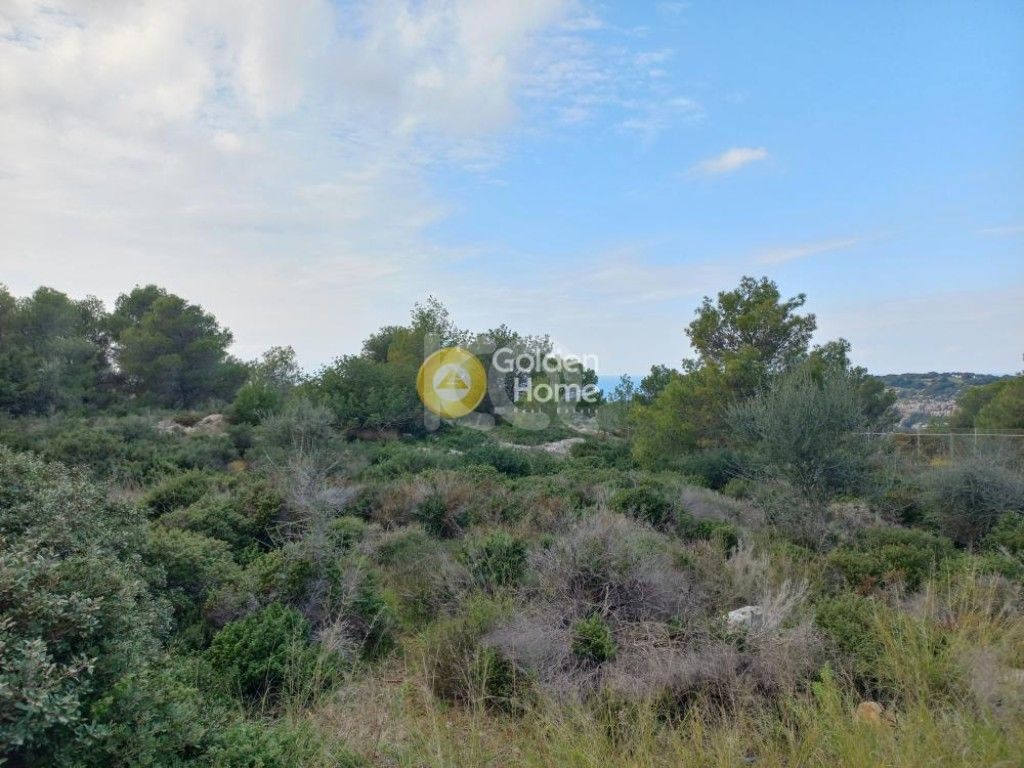 εικόνα αγγελίας