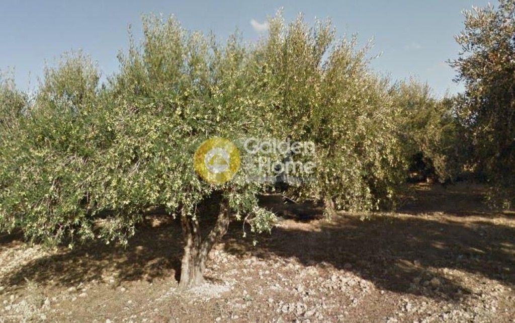 εικόνα αγγελίας