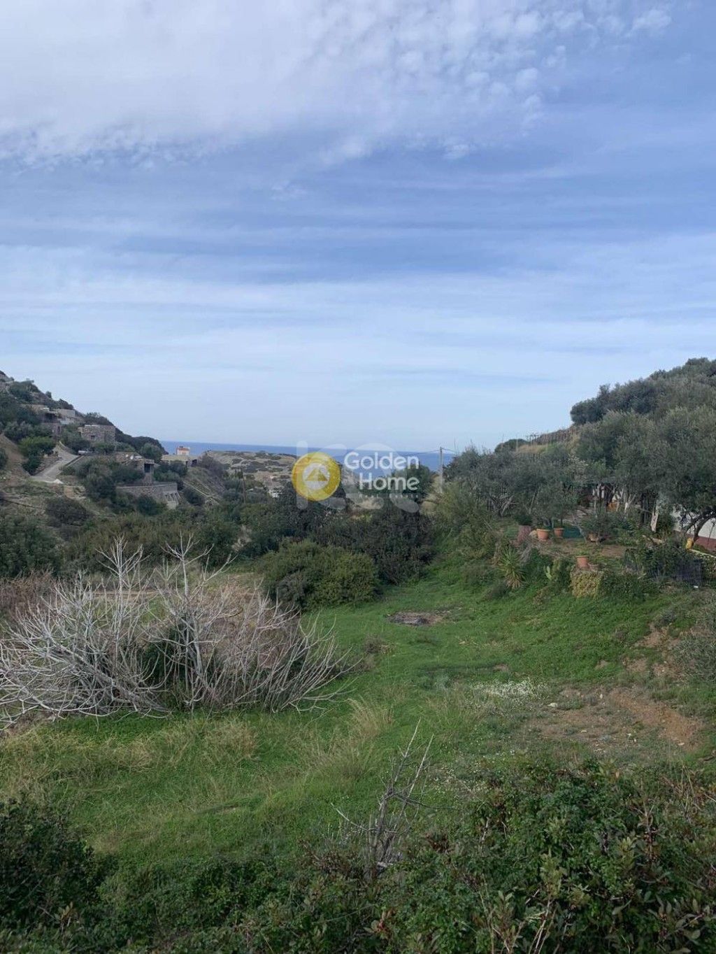 εικόνα αγγελίας