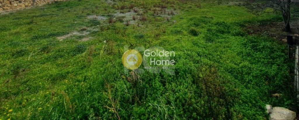 εικόνα αγγελίας