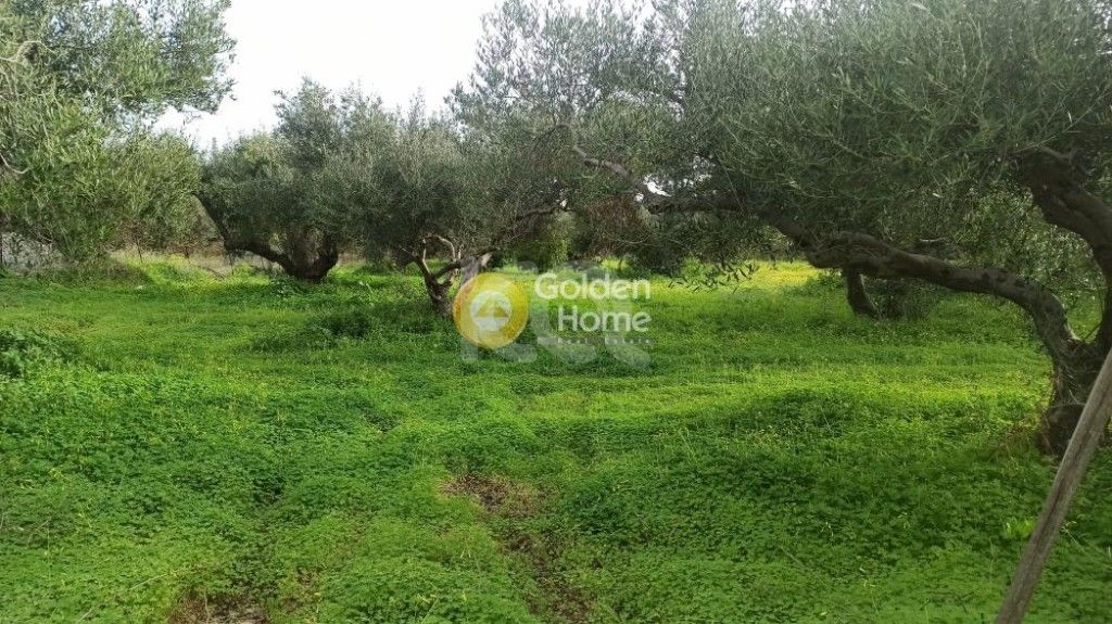 εικόνα αγγελίας