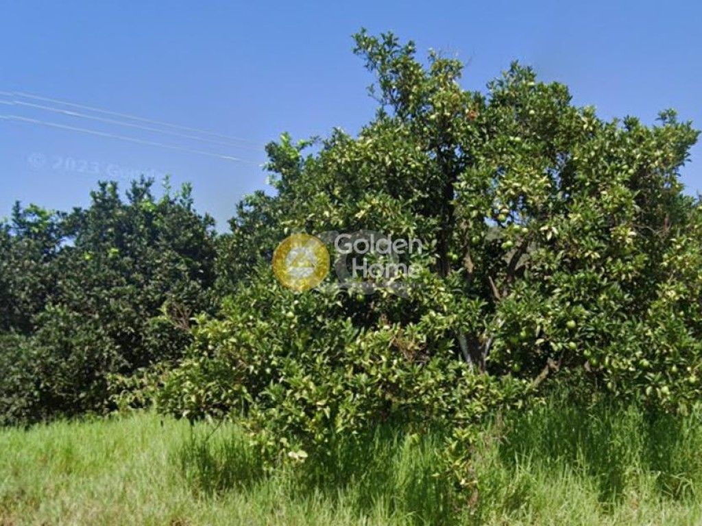 εικόνα αγγελίας