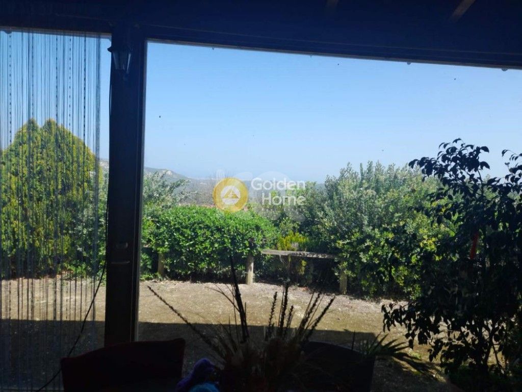 εικόνα αγγελίας