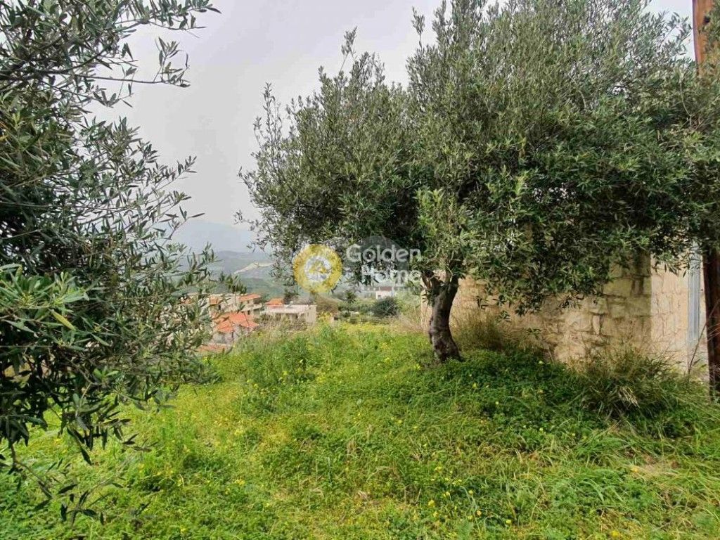 εικόνα αγγελίας