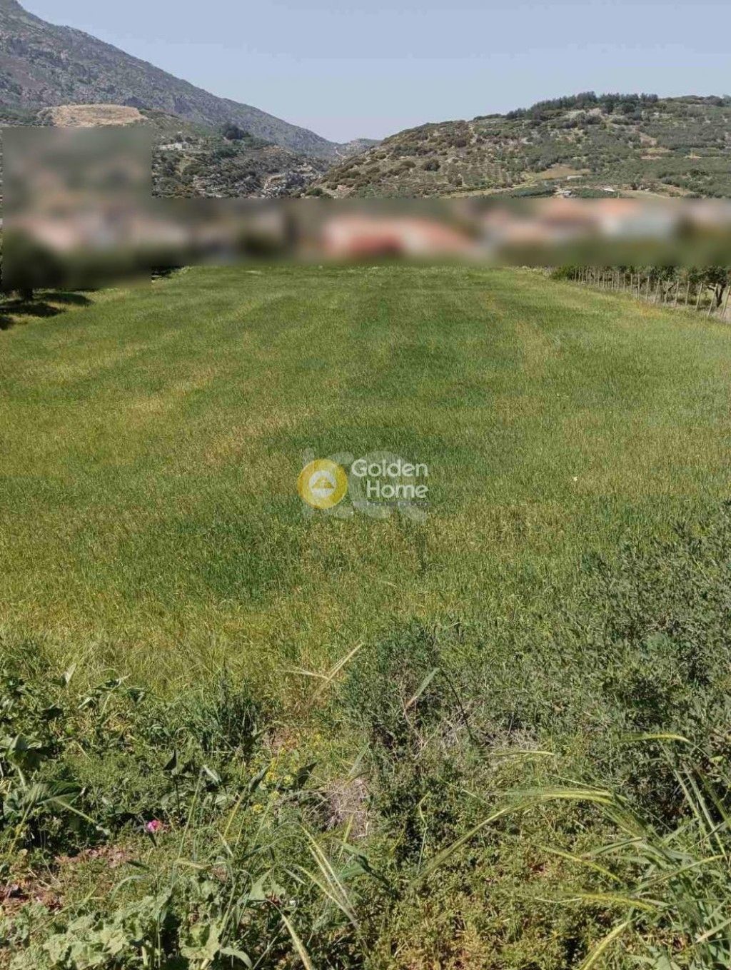 εικόνα αγγελίας