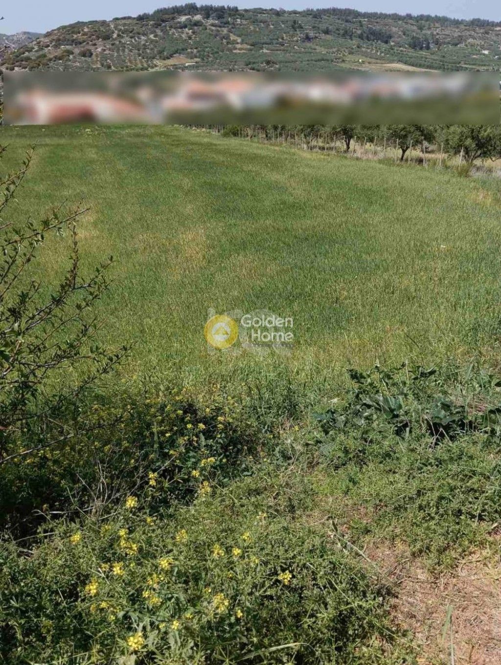 εικόνα αγγελίας