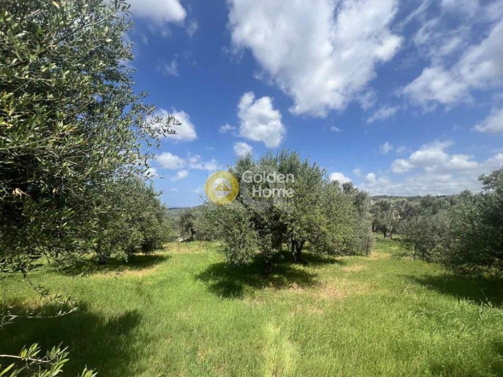 εικόνα αγγελίας