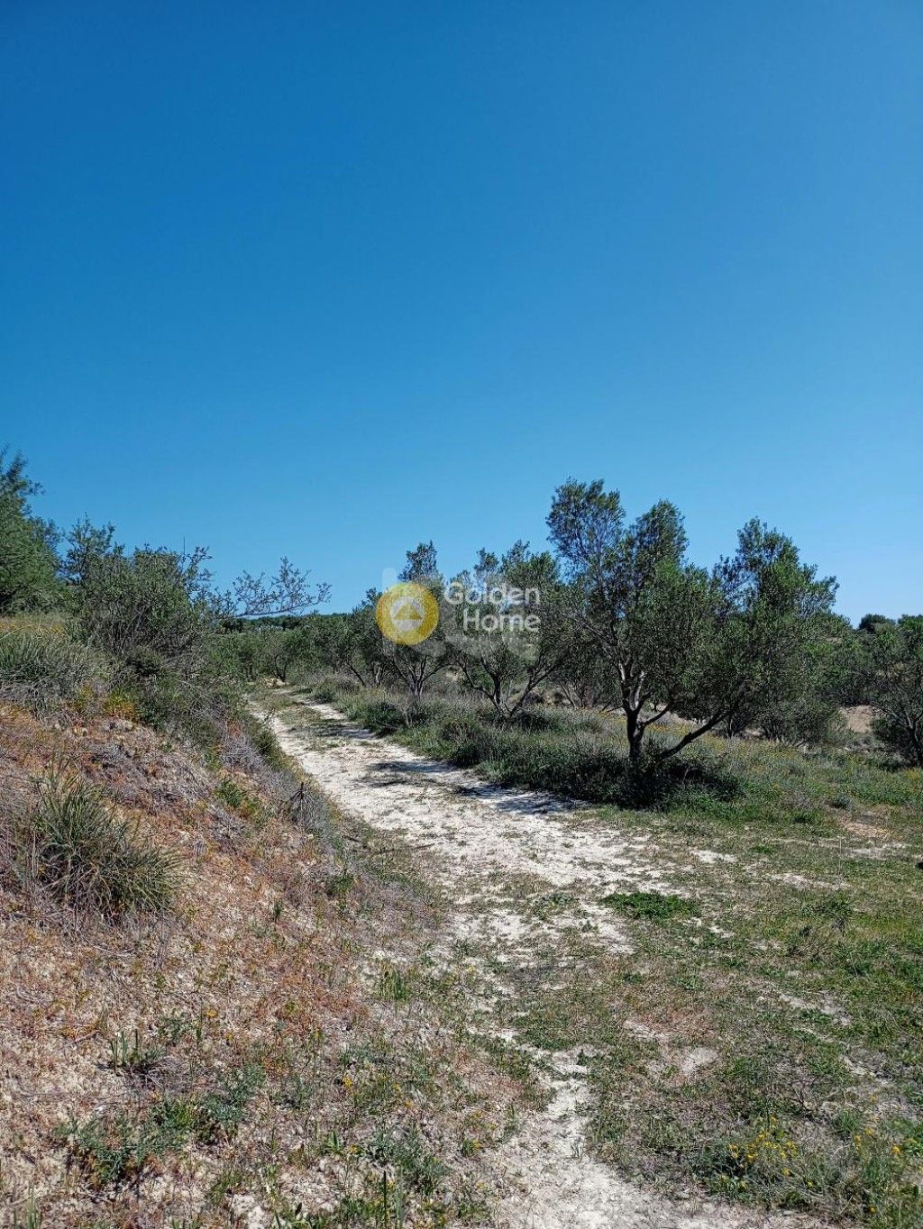 εικόνα αγγελίας