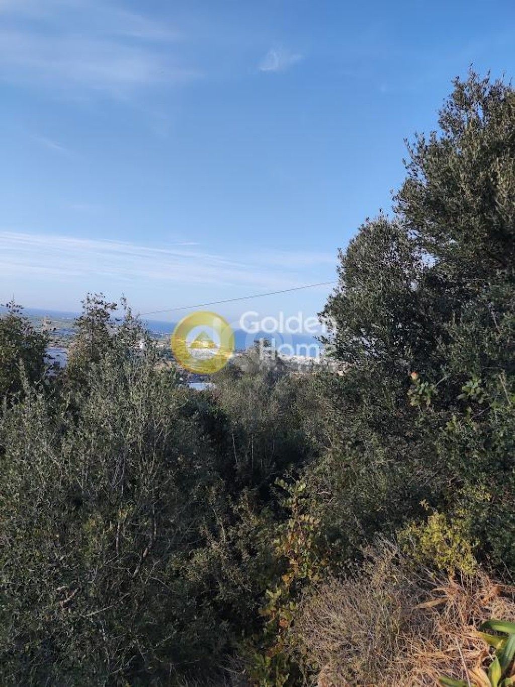 εικόνα αγγελίας