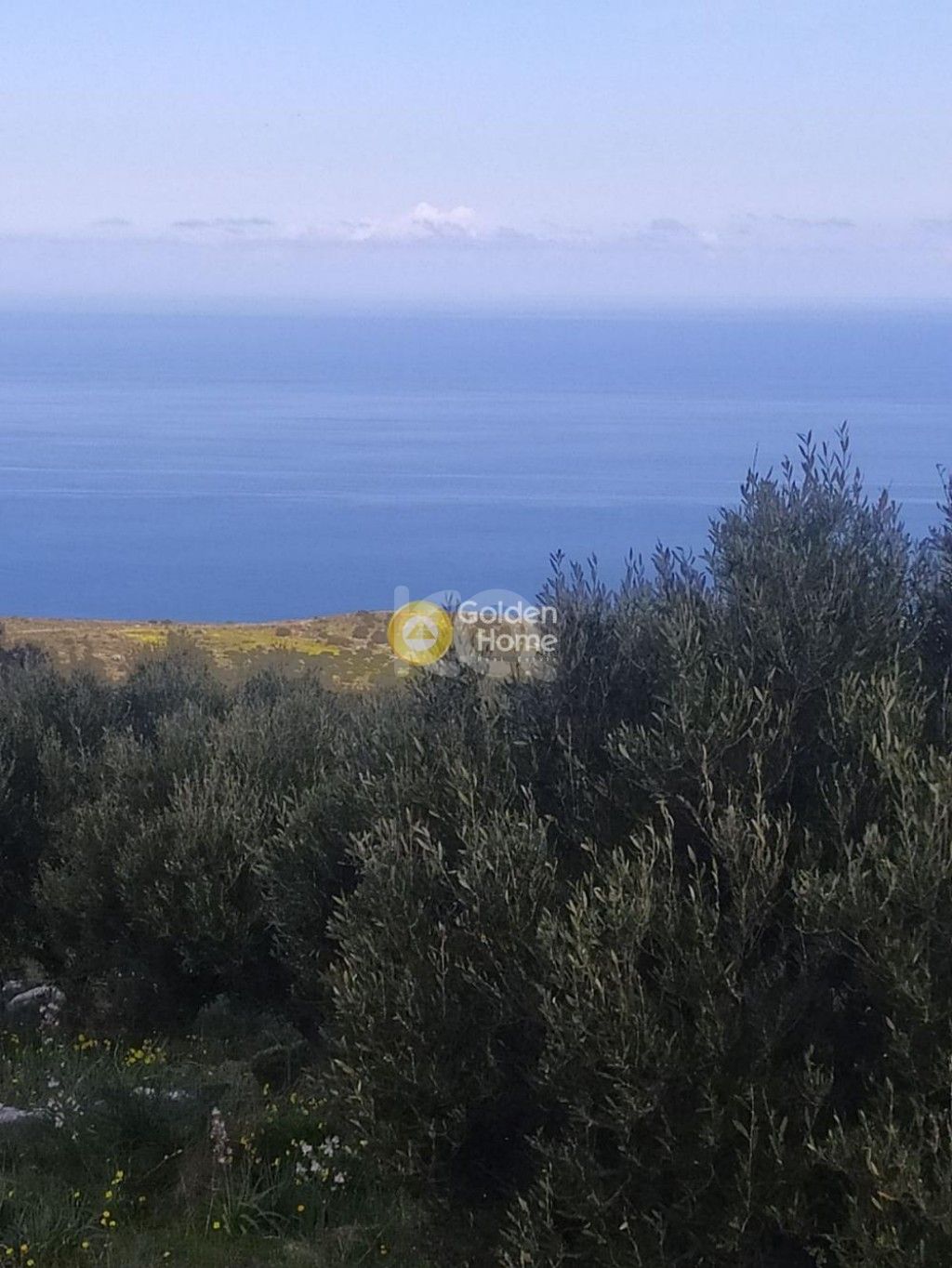 εικόνα αγγελίας