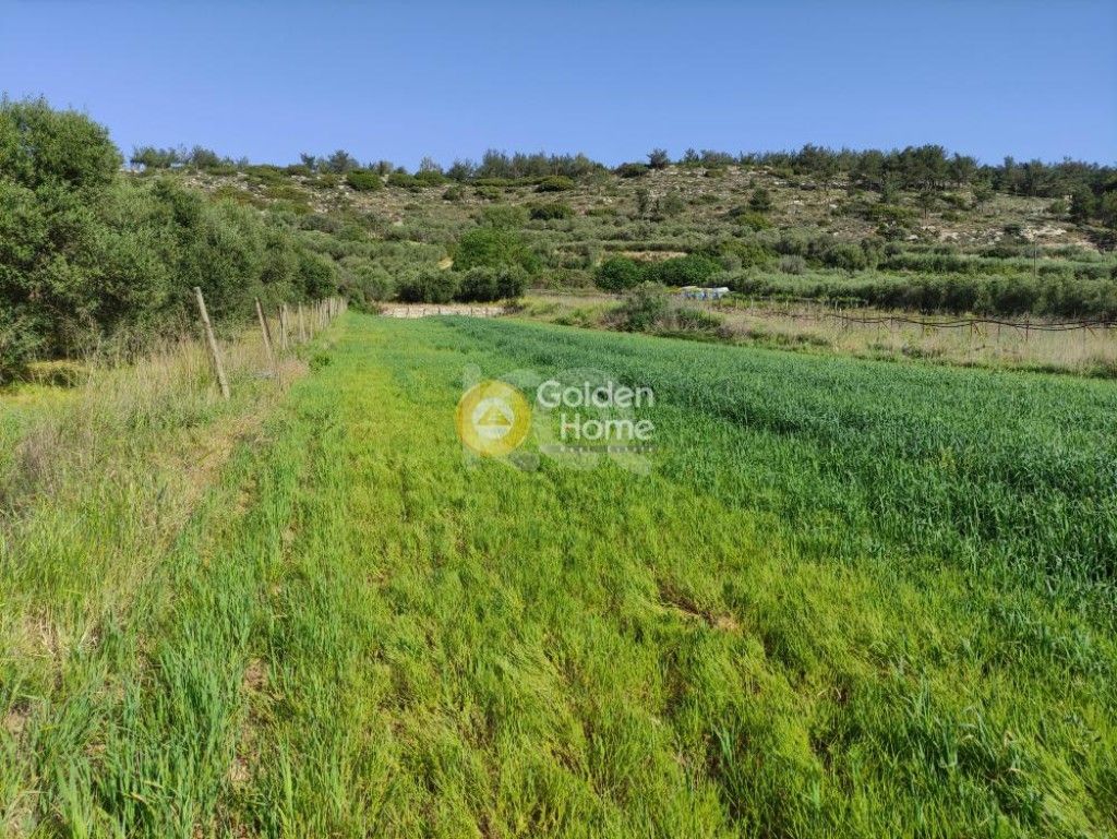 εικόνα αγγελίας