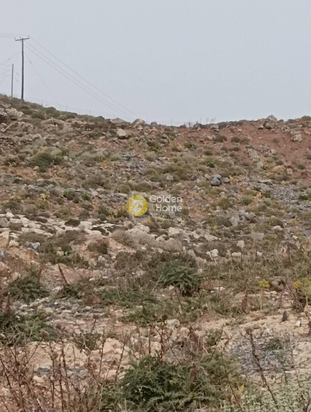 εικόνα αγγελίας