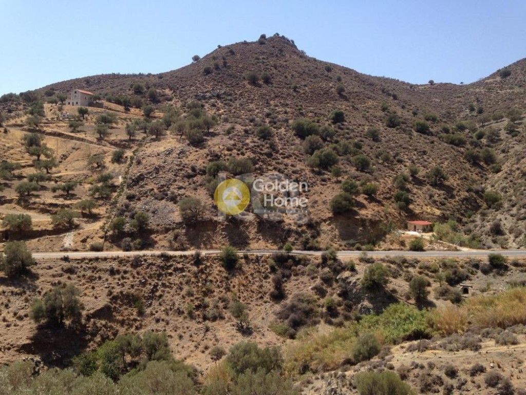 εικόνα αγγελίας