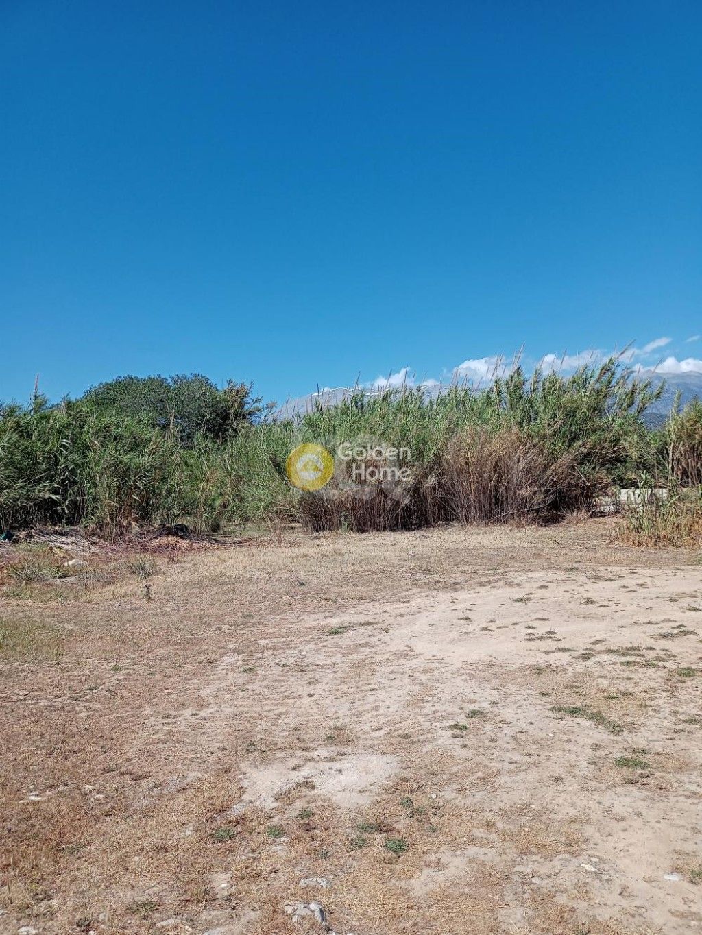 εικόνα αγγελίας