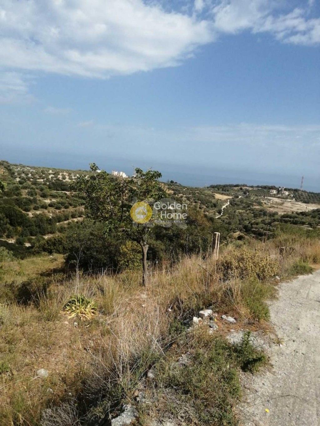 εικόνα αγγελίας