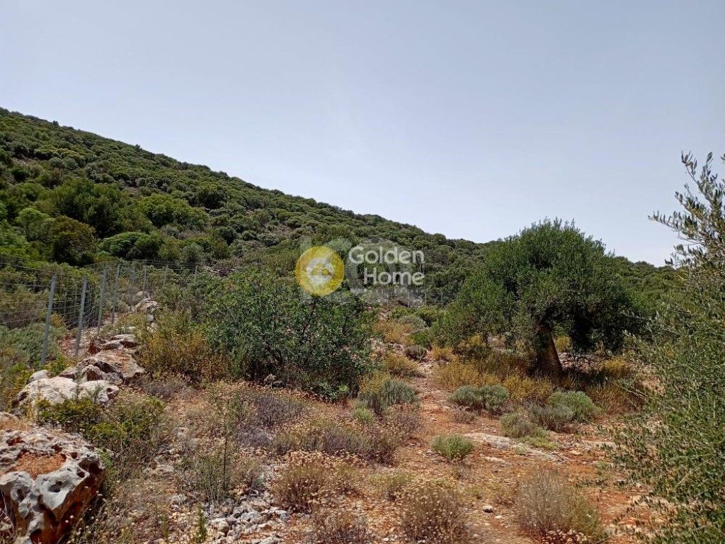 εικόνα αγγελίας