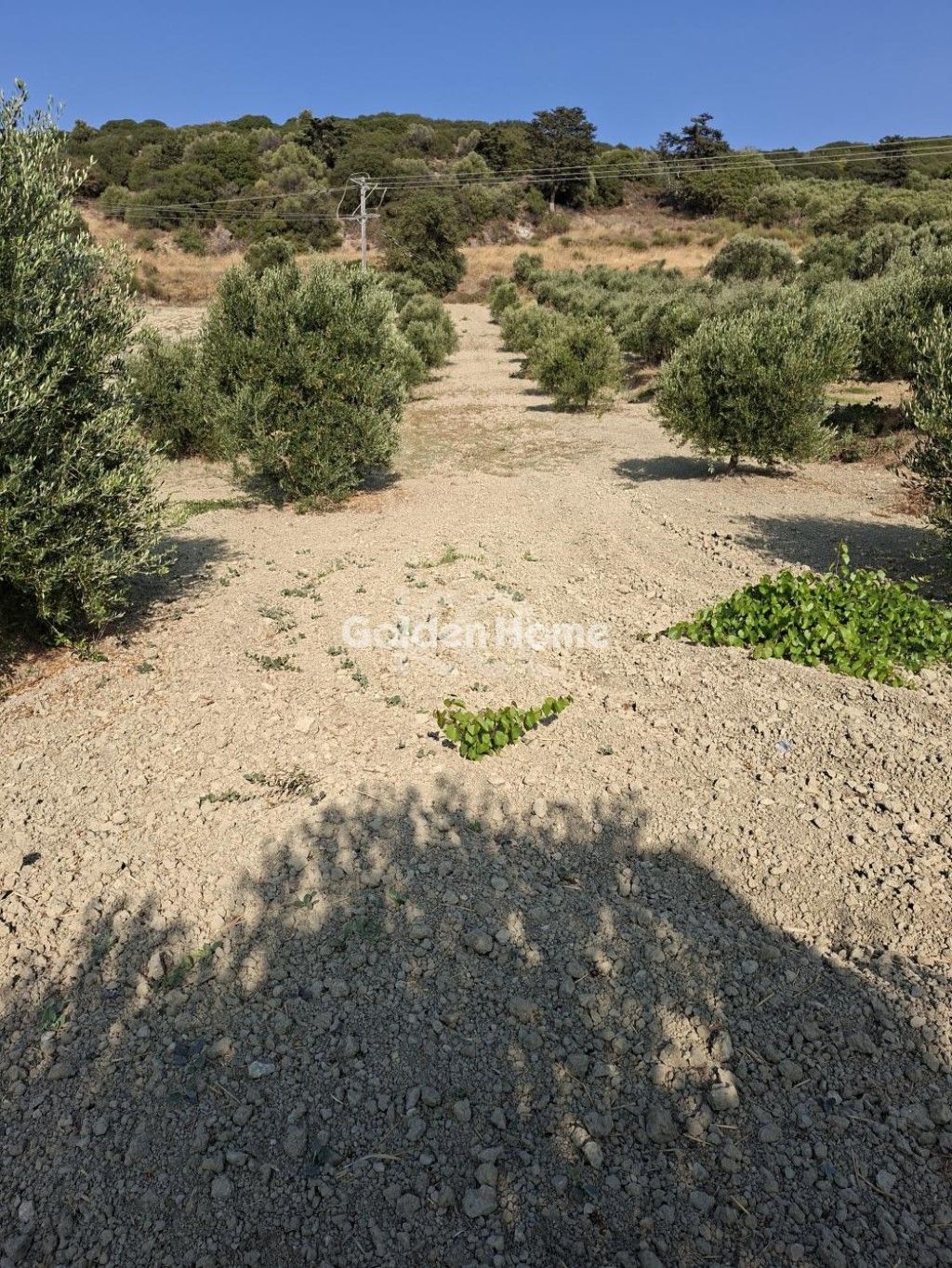 εικόνα αγγελίας