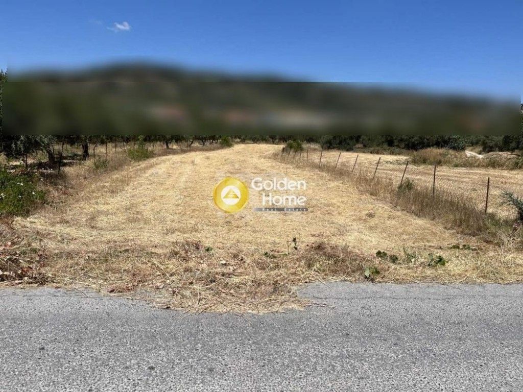 εικόνα αγγελίας