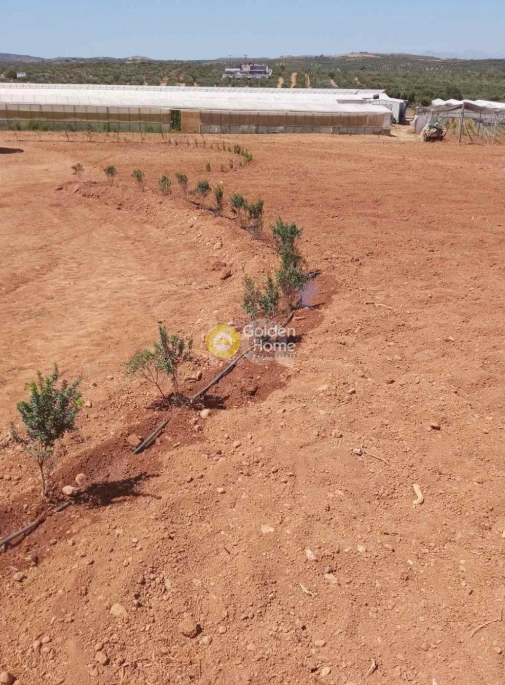 εικόνα αγγελίας