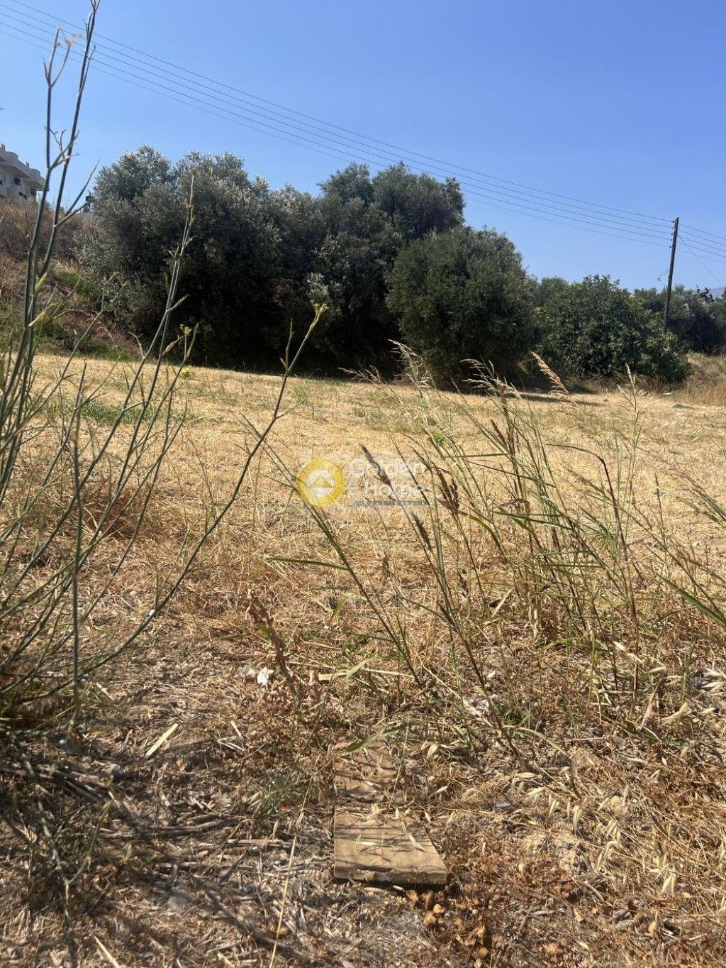 εικόνα αγγελίας