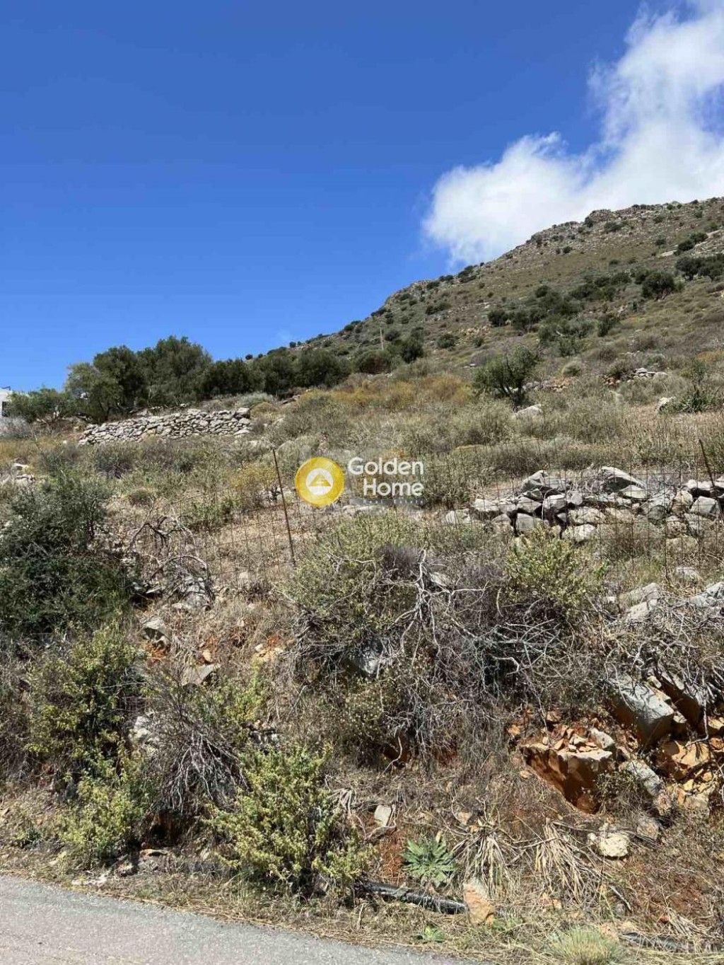 εικόνα αγγελίας