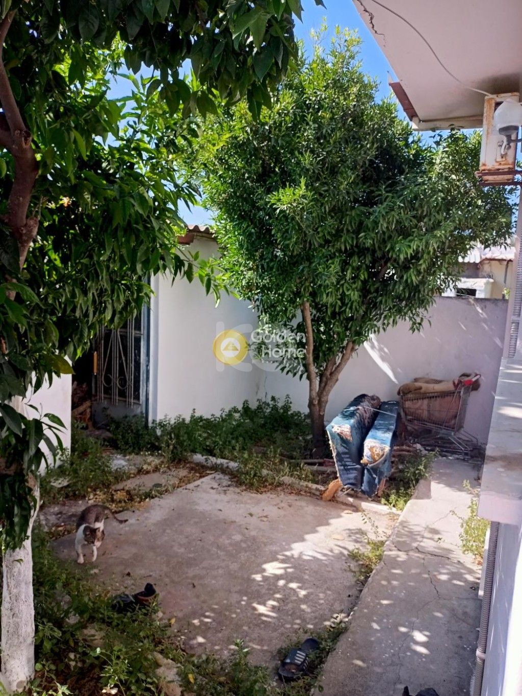 εικόνα αγγελίας