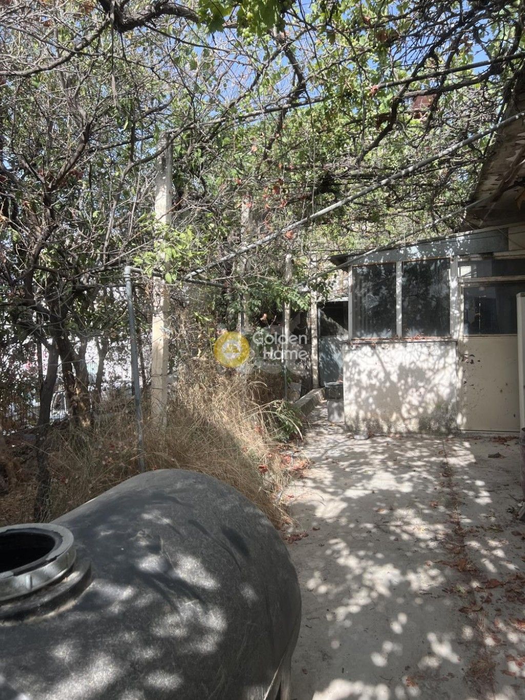 εικόνα αγγελίας