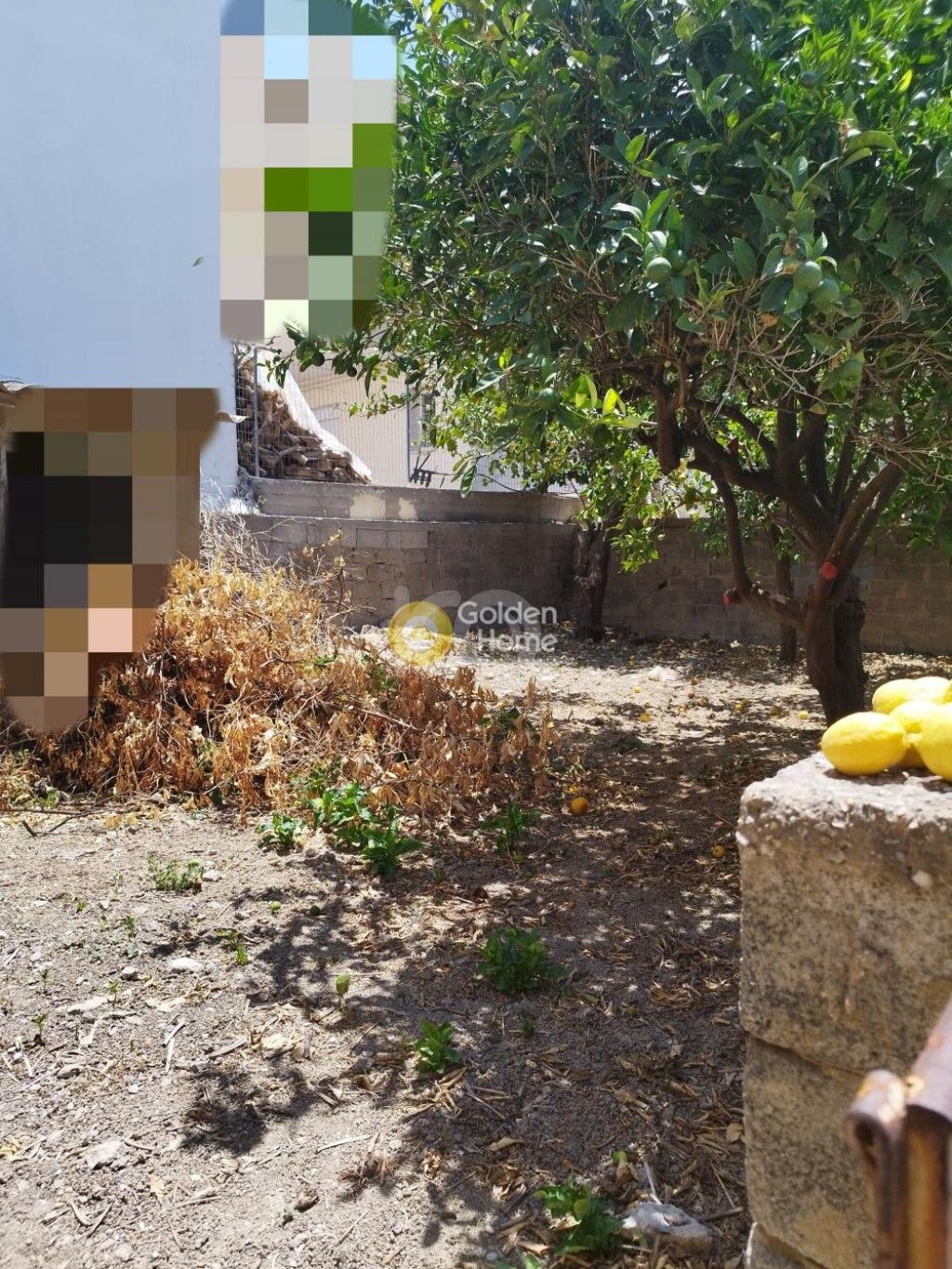 εικόνα αγγελίας