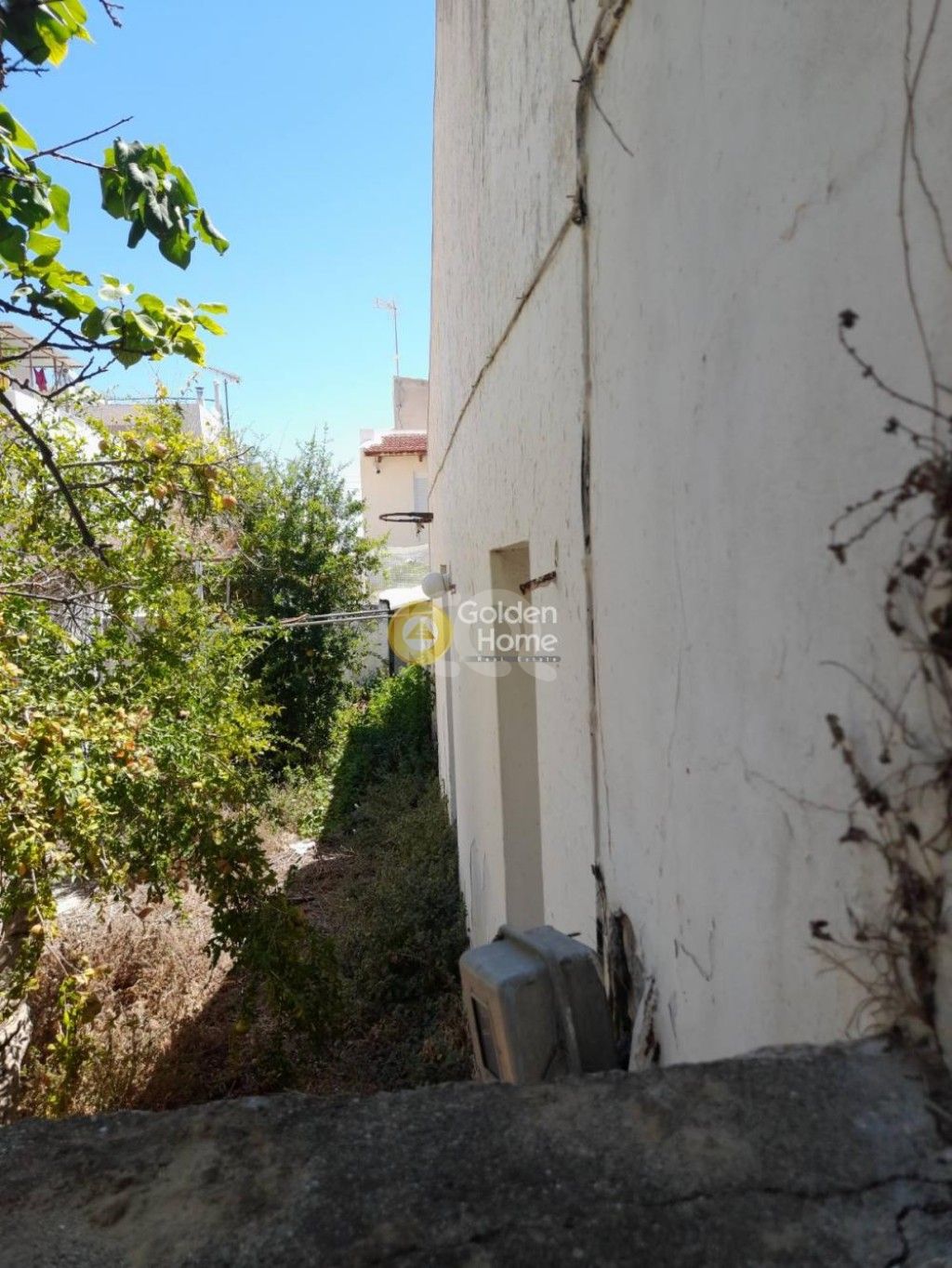 εικόνα αγγελίας