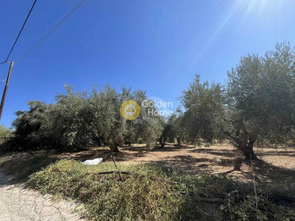 εικόνα αγγελίας