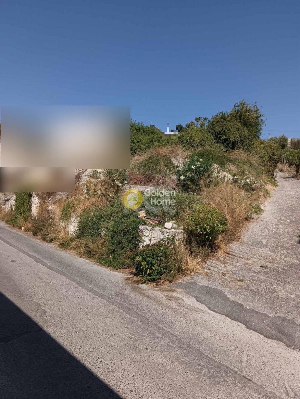 εικόνα αγγελίας