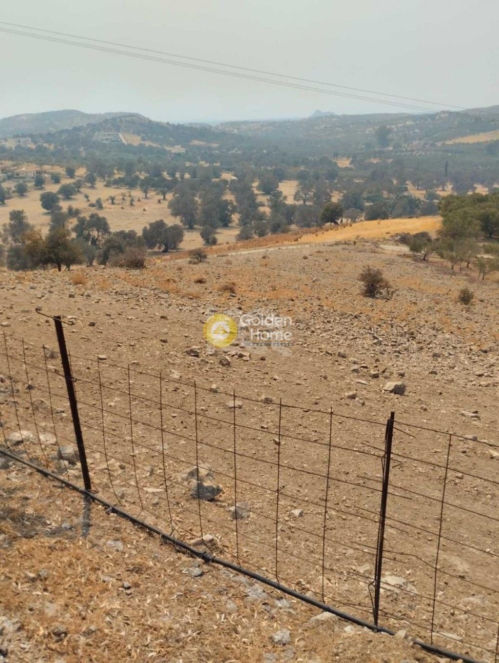 εικόνα αγγελίας