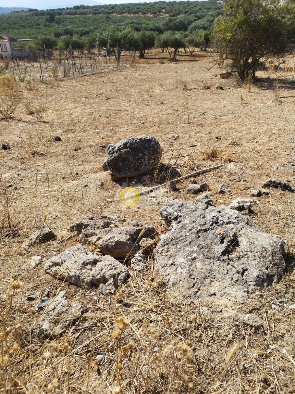 εικόνα αγγελίας