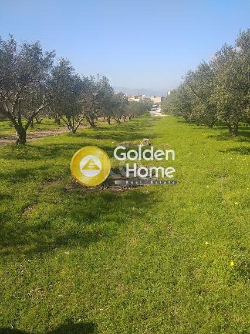 εικόνα αγγελίας