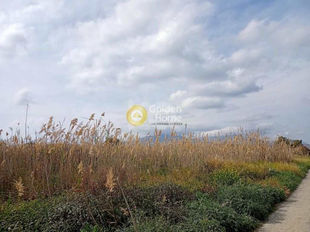 εικόνα αγγελίας