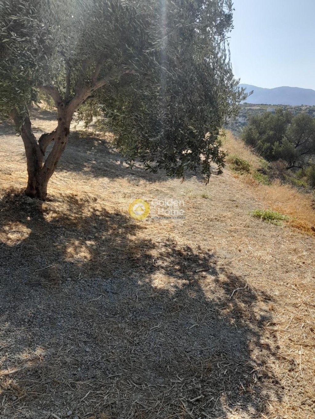 εικόνα αγγελίας