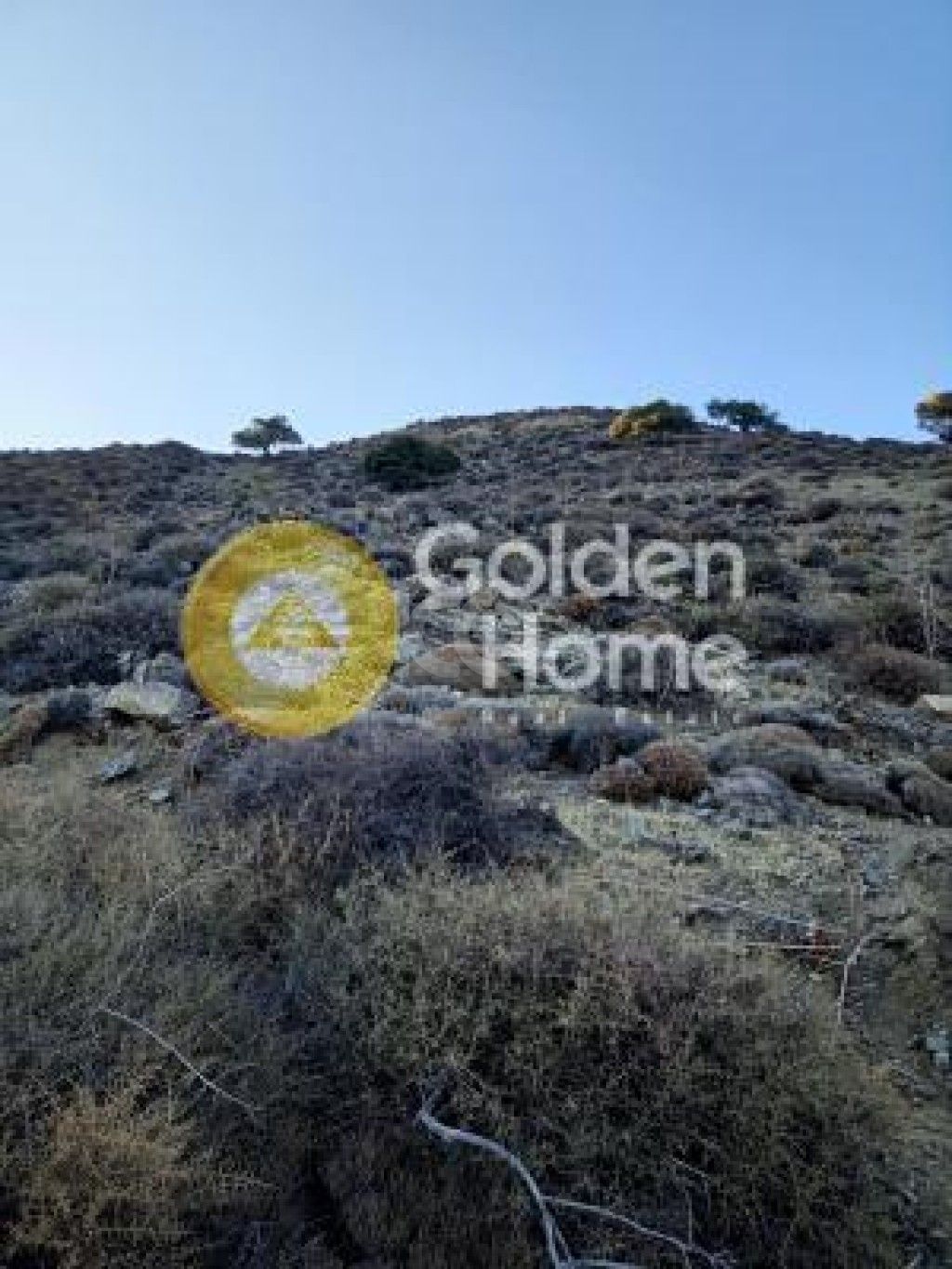 εικόνα αγγελίας