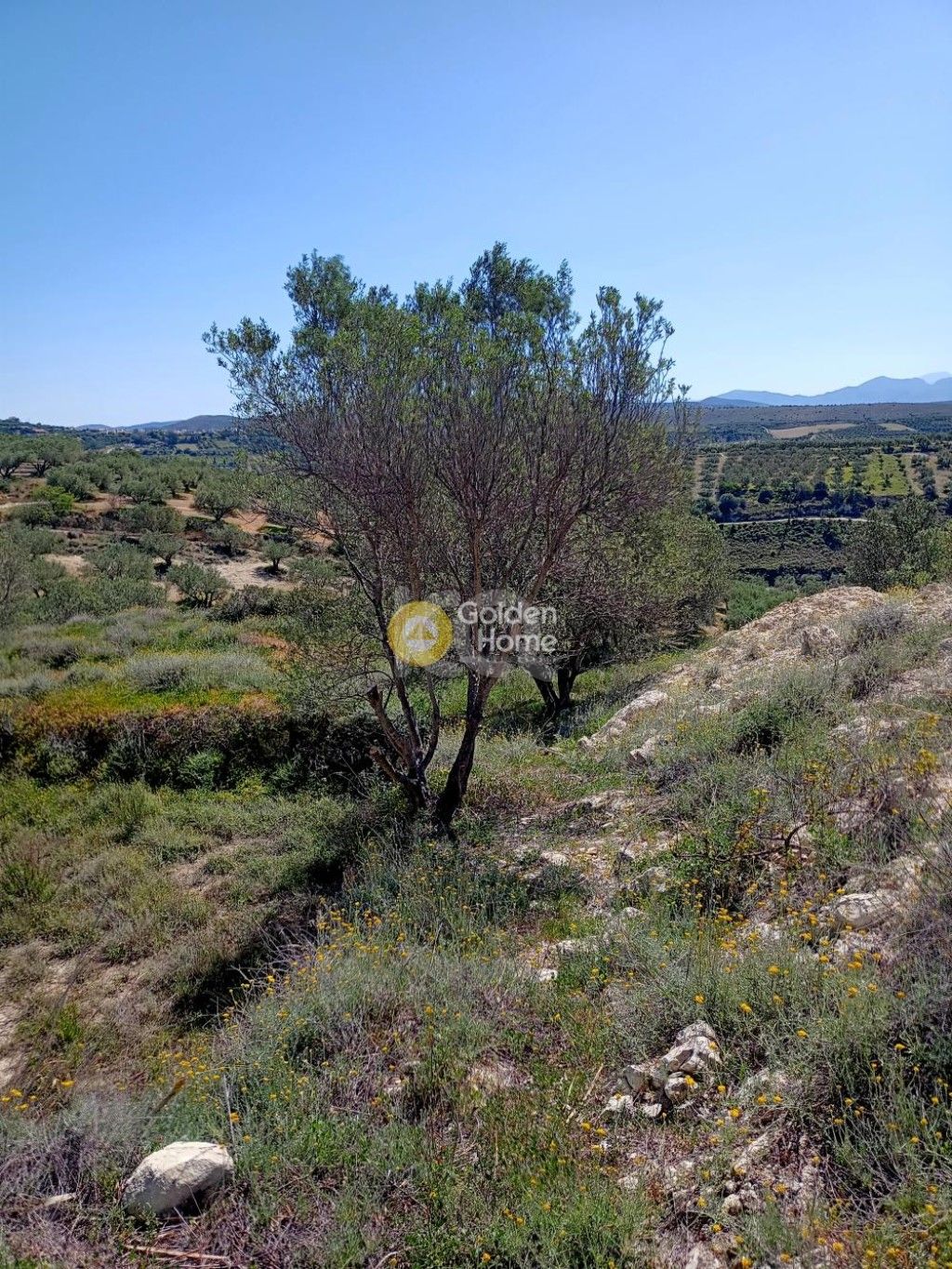 εικόνα αγγελίας