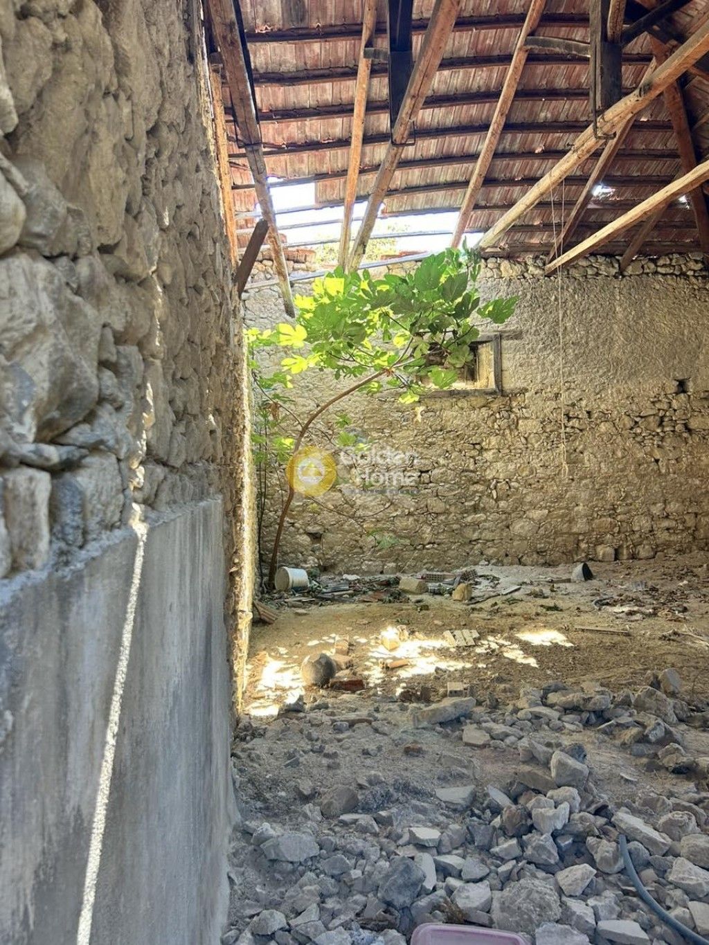 εικόνα αγγελίας