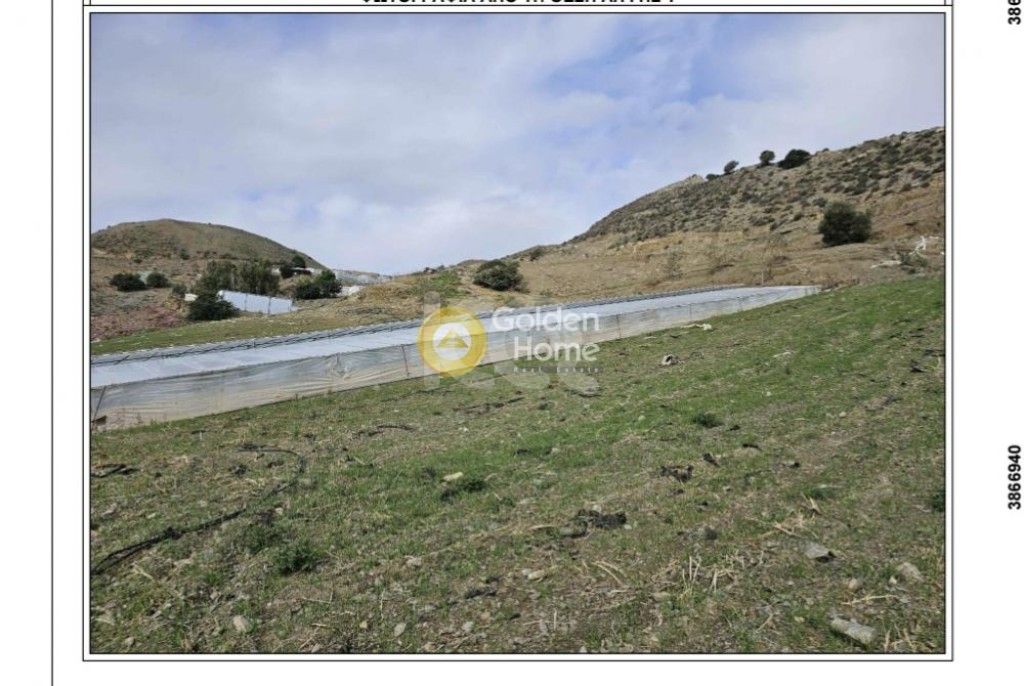 εικόνα αγγελίας