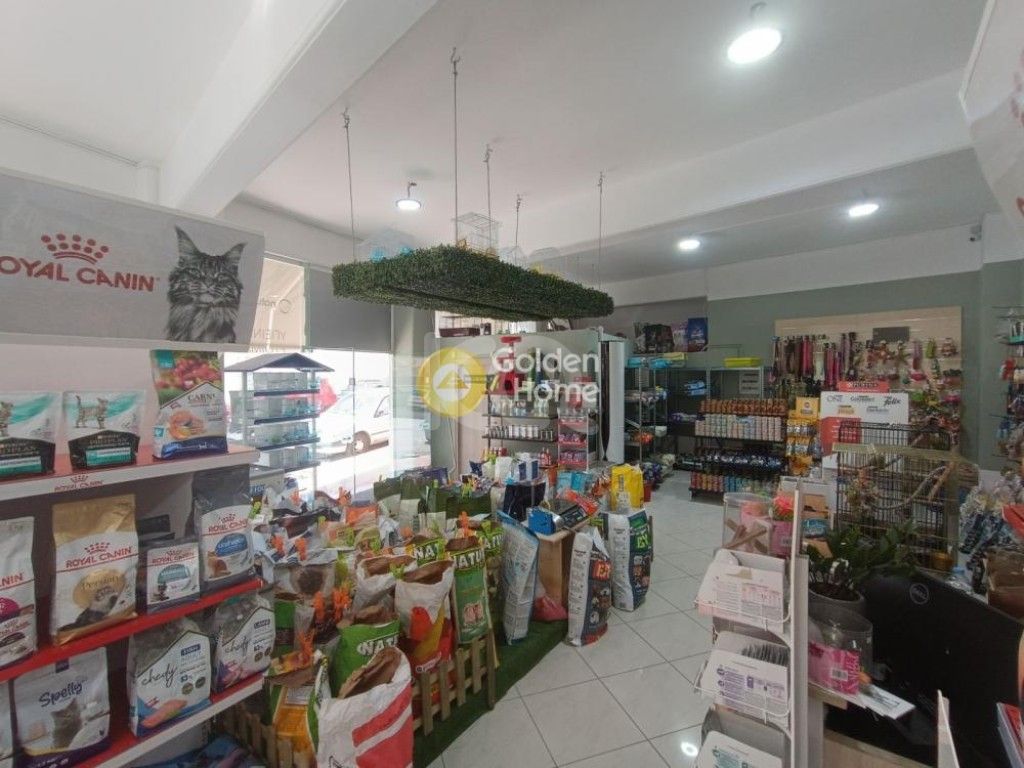 εικόνα αγγελίας