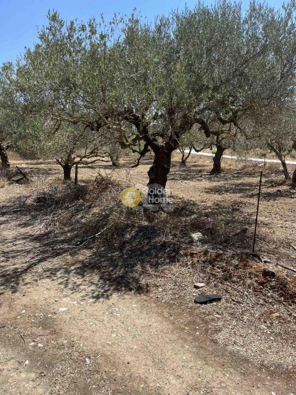 εικόνα αγγελίας