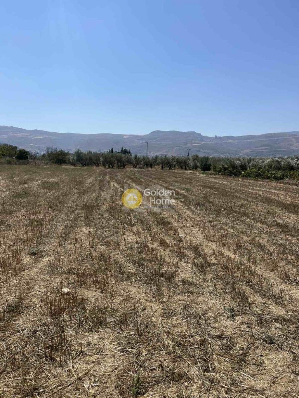 εικόνα αγγελίας