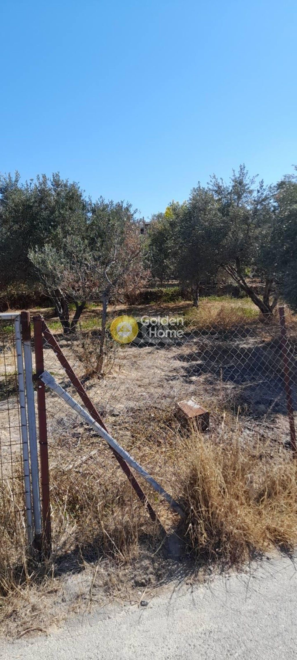 εικόνα αγγελίας